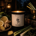The Fool Tarot Candle - Citrus · Spicy · Aromatic